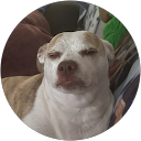 Alexa Mezzanotte profile picture